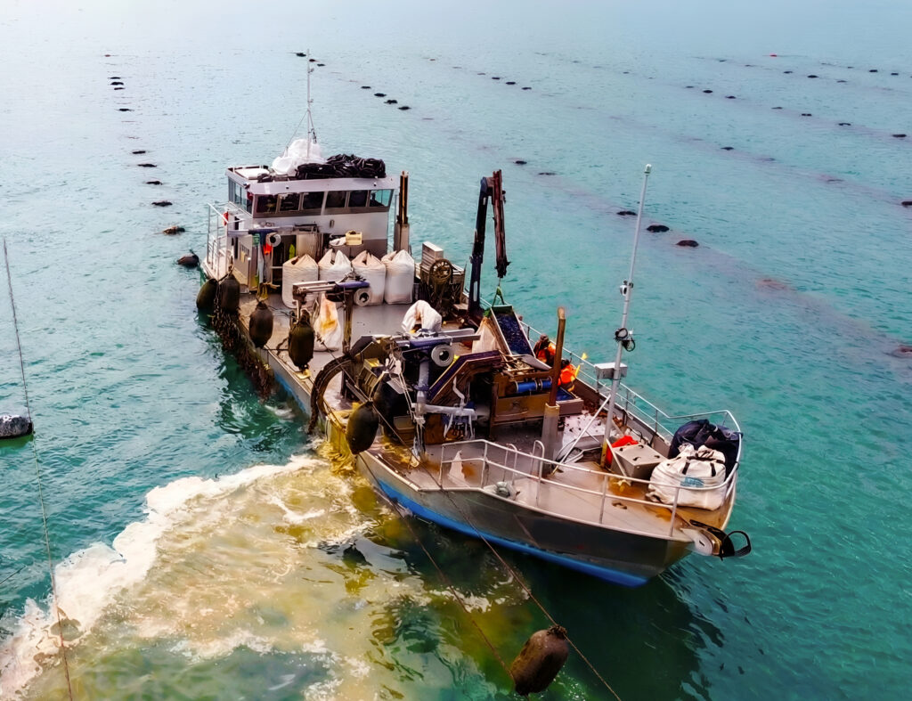 story barge