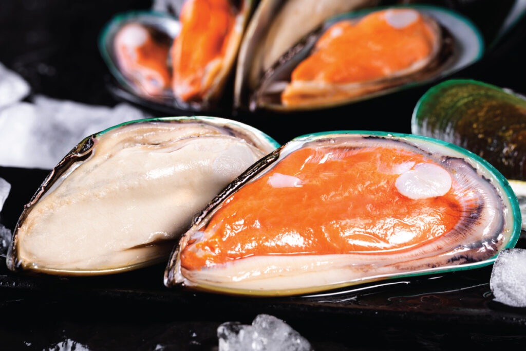 raw half shell