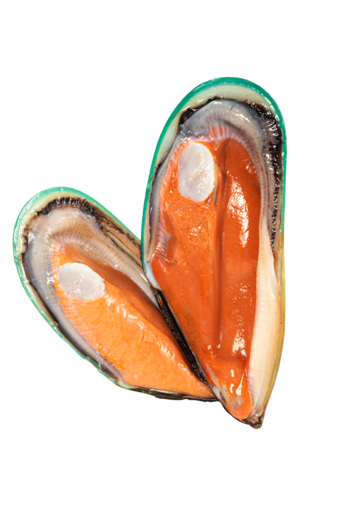 raw half shell