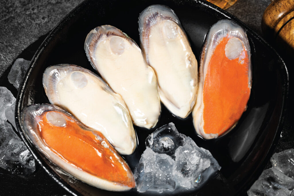 raw mussel meat